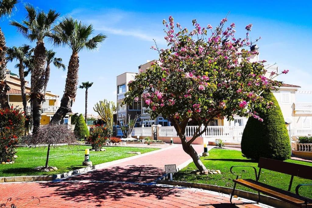 Apartament Z Duzym Tarasem Na Pieknym Osiedlu Orihuela Zewnętrze zdjęcie